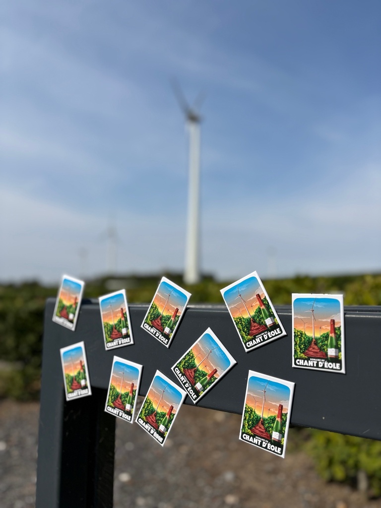 Magnet / Aimant Domaine