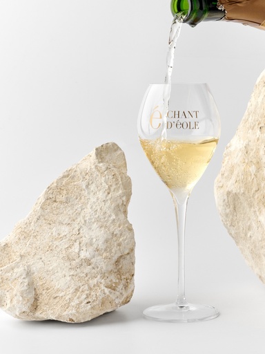 [BBB+2v23] Boxed set - Blanc de Blancs & 2 glasses 23 cl