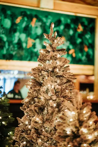 Menu Traiteur Noël et Nouvel An