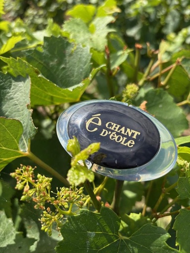 [BON] BOUCHON NOIR - Vin effervescent